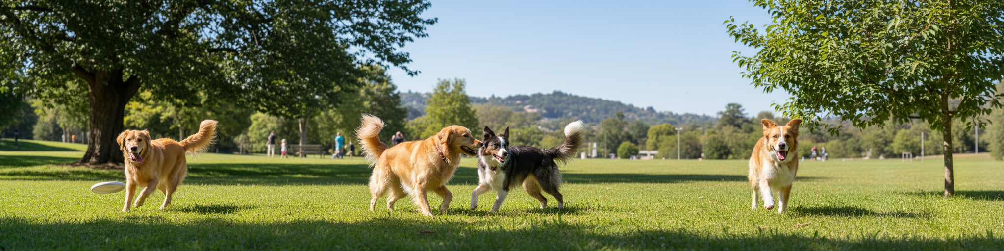 Home Page Banner Image