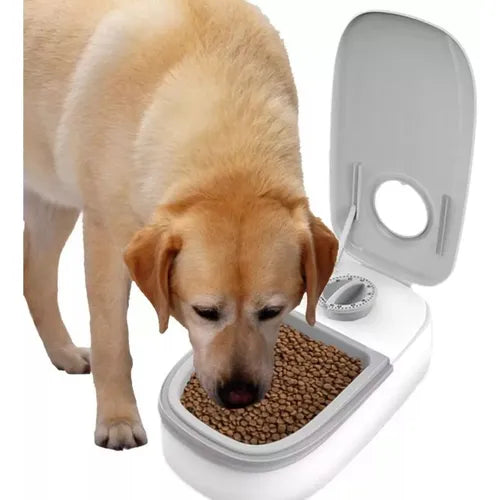 ⏰ Comedero Automático con Temporizador — Alimentación Programada para tu Mascota 🐾