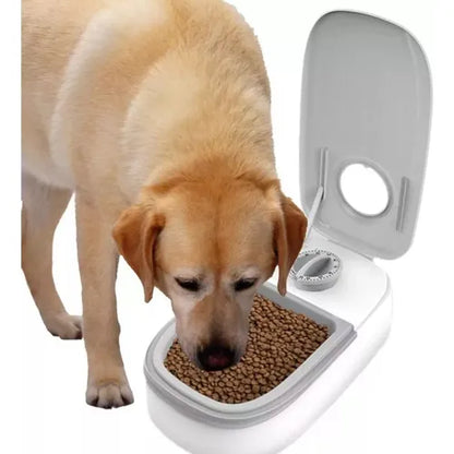 ⏰ Comedero Automático con Temporizador — Alimentación Programada para tu Mascota 🐾